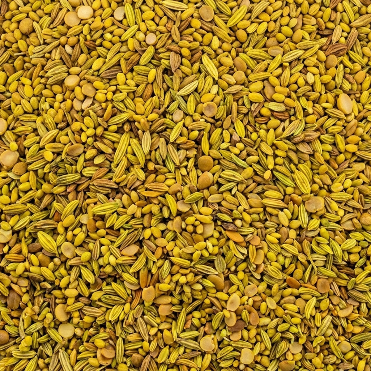 Jamnagari
