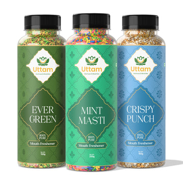 Minty Fresh Combo Pack | Mint Masti, Ever Green & Crispy Punch
